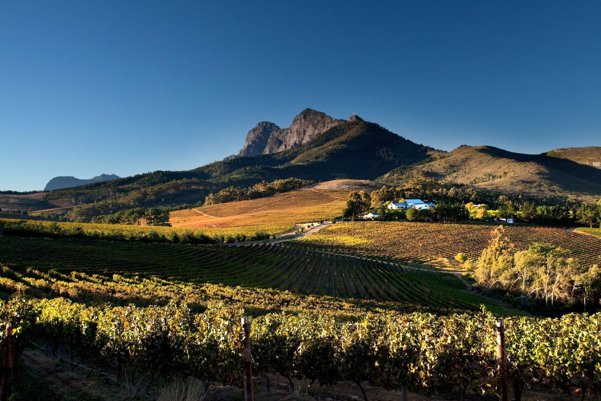 HOTEL MARIANNE WINE ESTATE STELLENBOSCH 4* (South Africa) - from £ 79 |  HOTELMIX